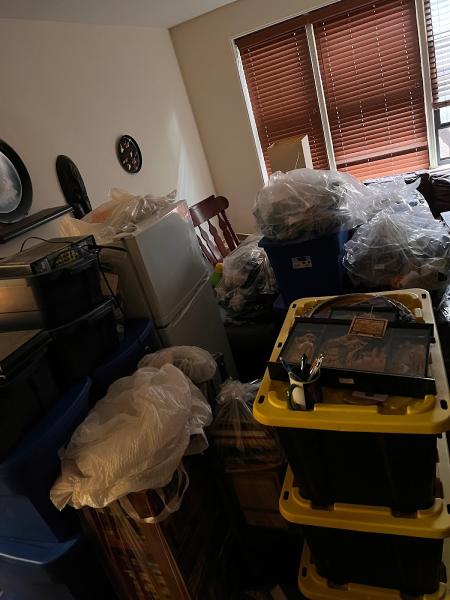 Discreet Bed Bug Inspections