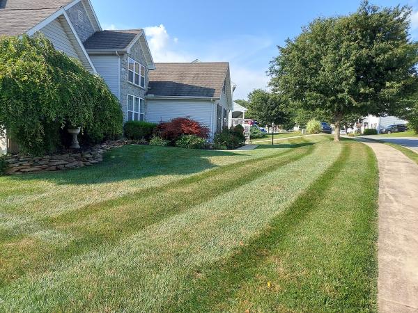CW Lawn AND Landscape LLC