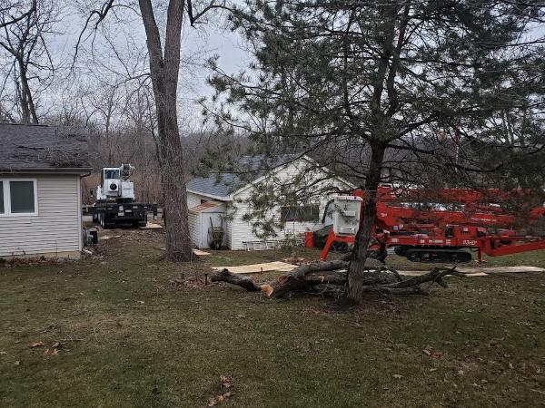 Red Oak Tree Service