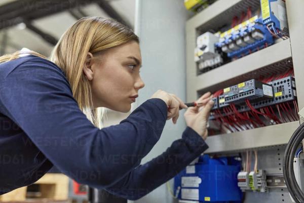 Lioness Electric Inc