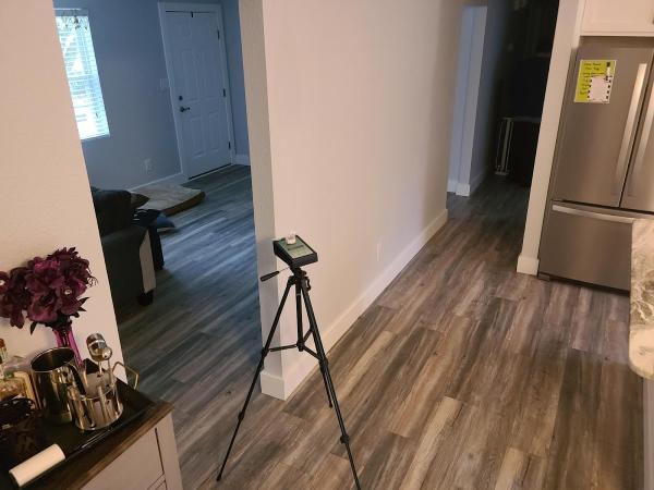 Coastal Mold Service