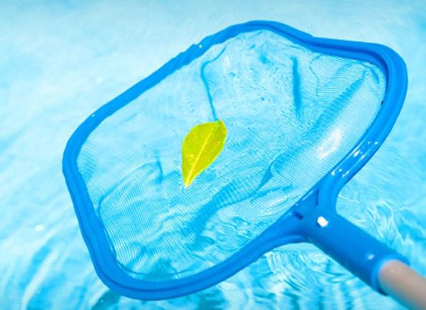 Paradiso Pools