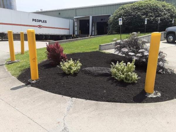 Monarch Maintenance