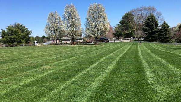 G&M Lawn and Landscaping