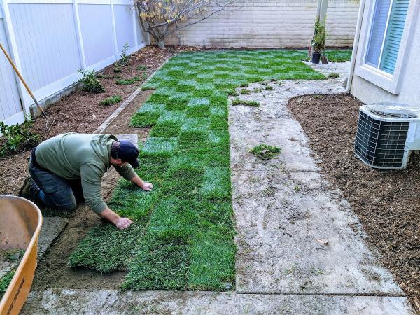 All Professional Landscape