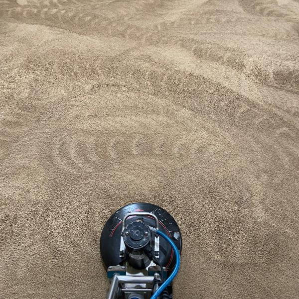 Accutech Carpet and Tile Cleaning