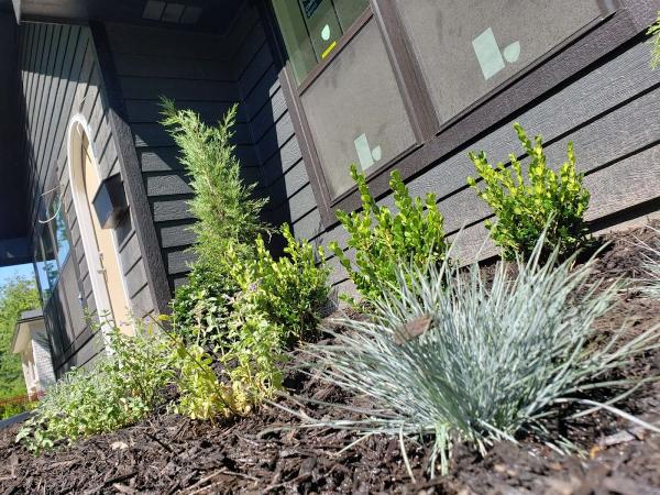 Garibay Lawn Care & Landscaping