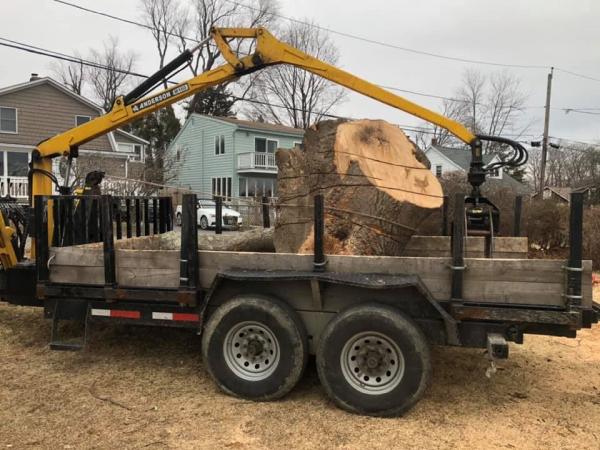 Tops Tree Service