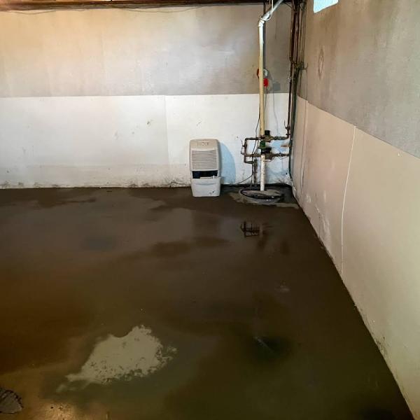Mold No More LLC