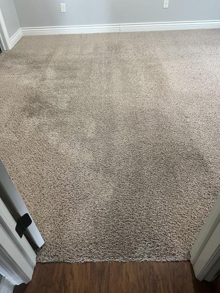 Snow White Carpet Cleaning