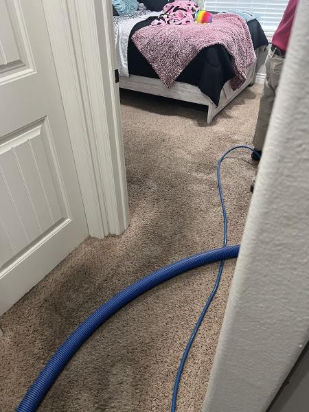 Snow White Carpet Cleaning