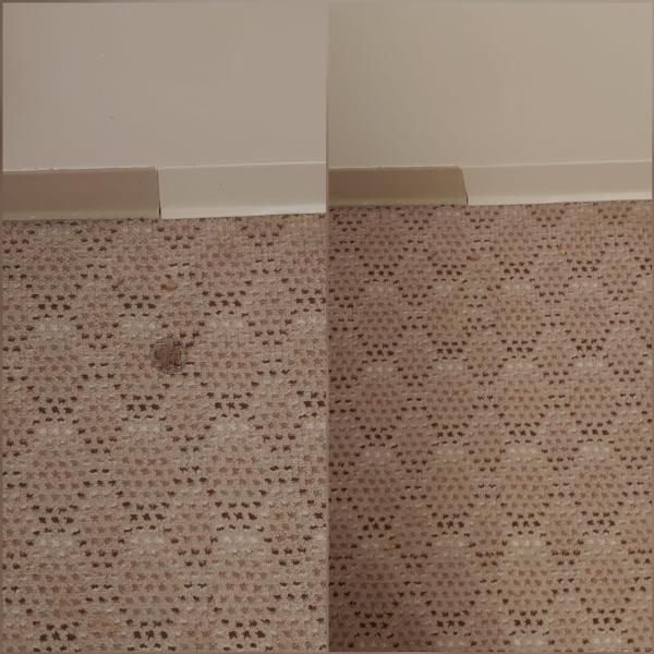 Snow White Carpet Cleaning