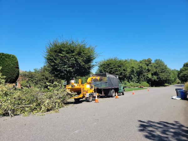 Chris Landscaping and Tree Service LLC