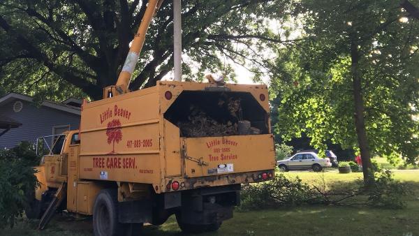 Little Beaver Tree Service