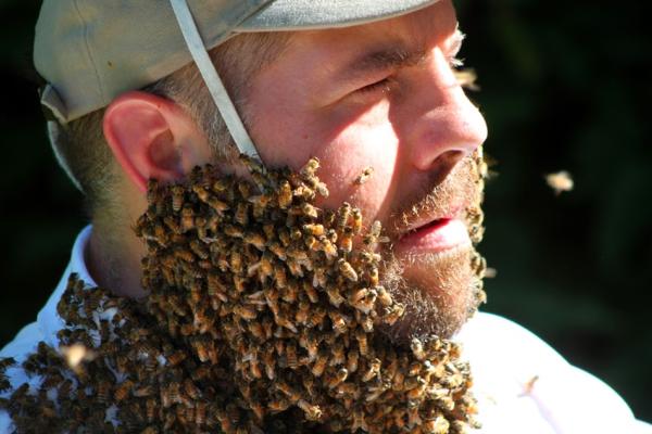 Philadelphia Bee Co.