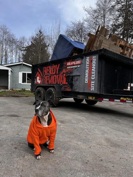 Ready Removal