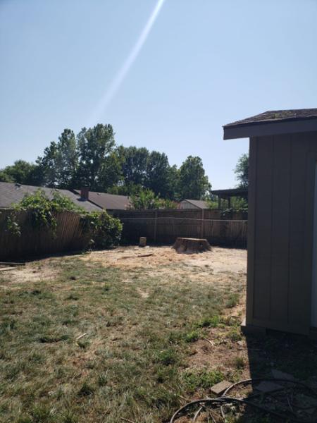 Greenman Tree Services