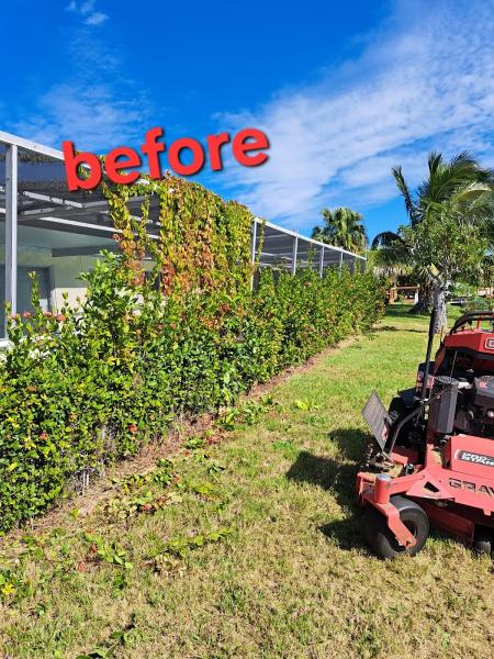 Morales b Landscaping LLC