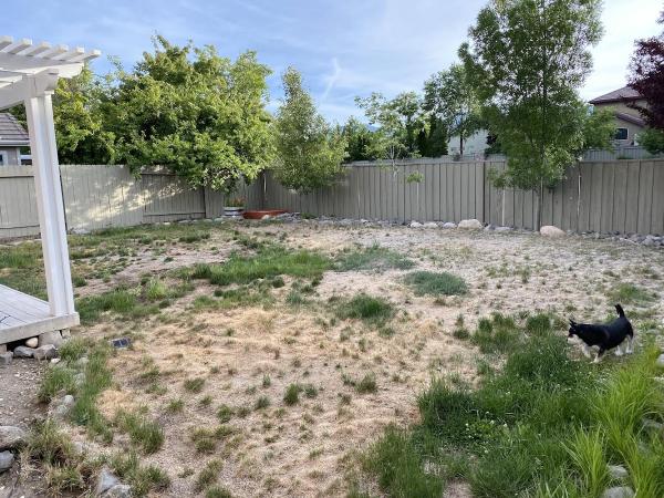 Aces Lawn Care Reno Nevada