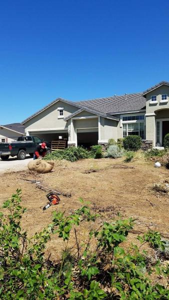 Aces Lawn Care Reno Nevada