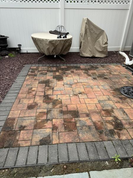 Peer Pressure Washing and Roof Cleaning