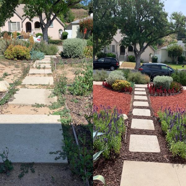 Magic Lawn