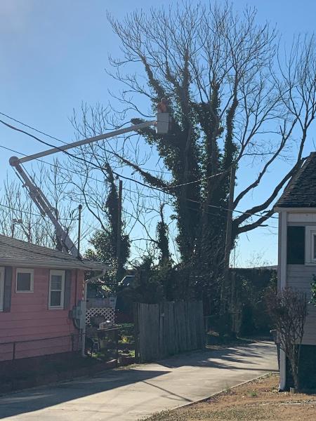 Turner and Son Tree Service