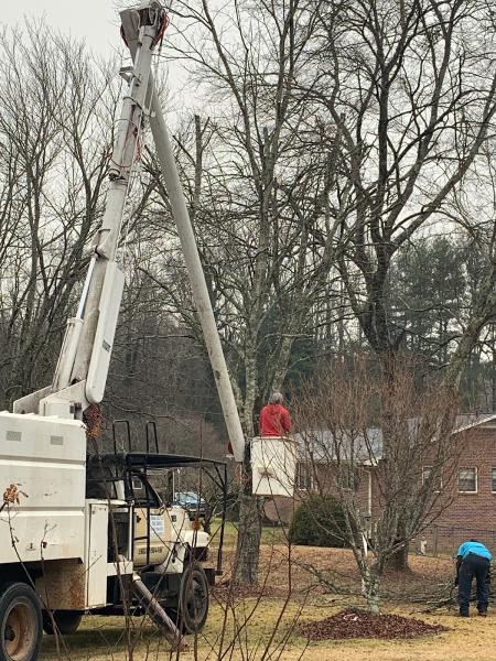 Turner and Son Tree Service