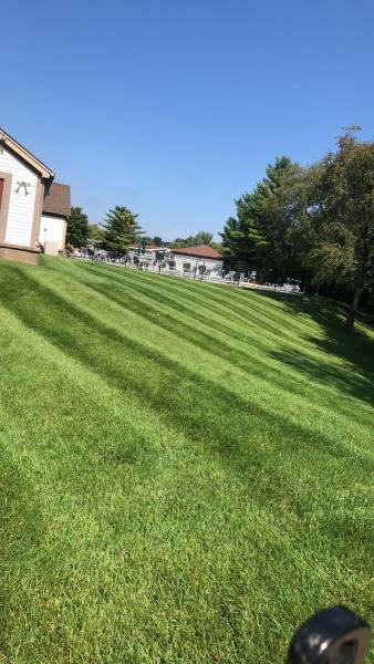 HL Lawn Services