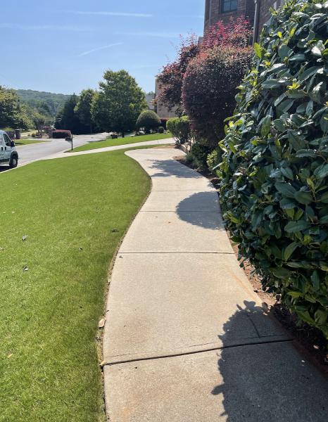 Bio Green Pressure Washing