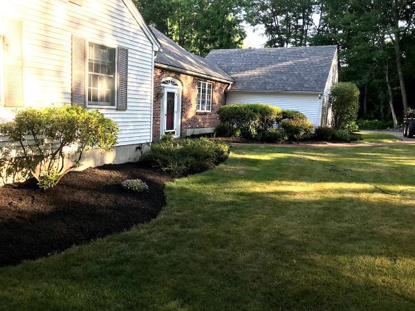 CMS Lawn Care and Landscaping
