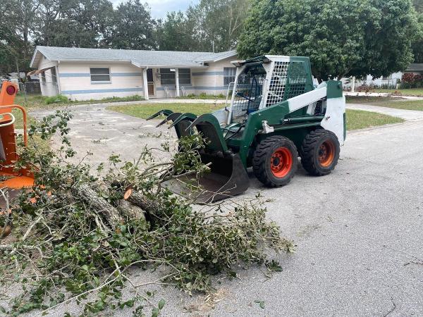 Dillon's Tree Service