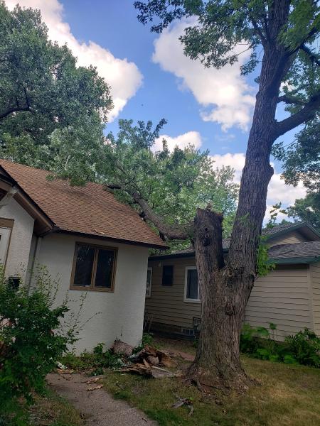 Clean Cuts Tree Service