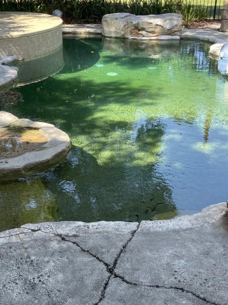 Blue Dream Pools