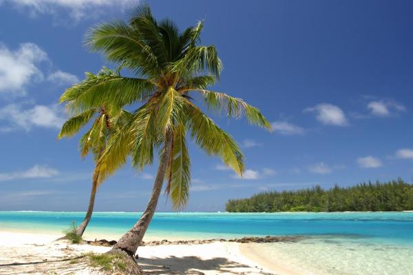 Paradise Heating & Cooling