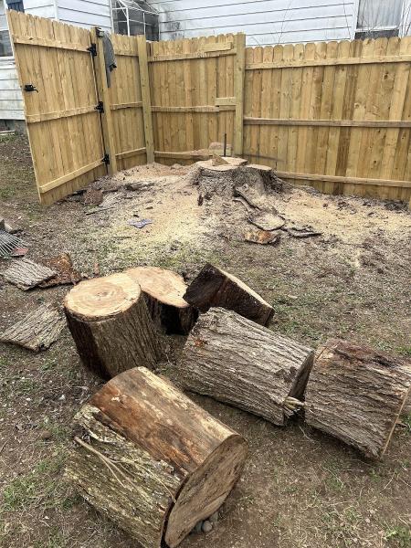 Stumpugly Stump Removal