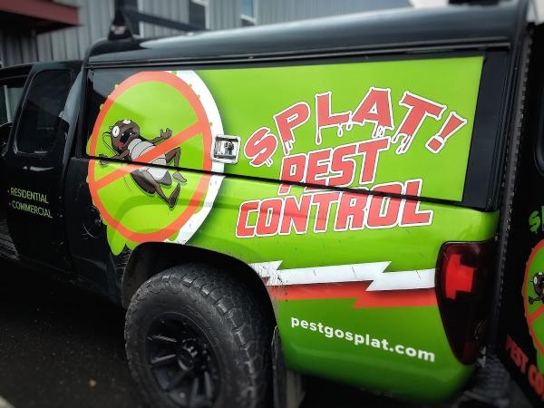 Splat Pest Control