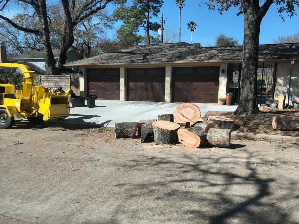 Waco Tree Service