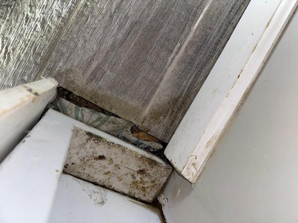 Sleep-Easy Pest Solutions