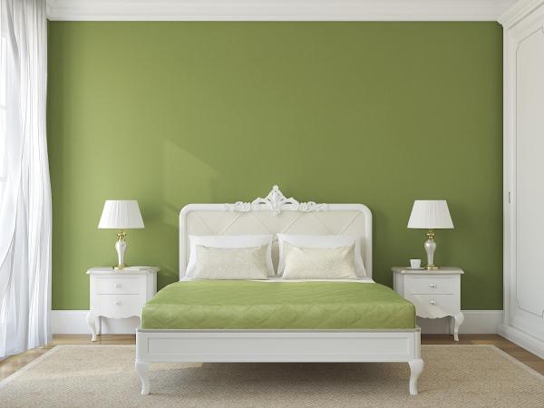 Paramount Painting LLC
