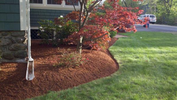 Natural Landscape Concepts