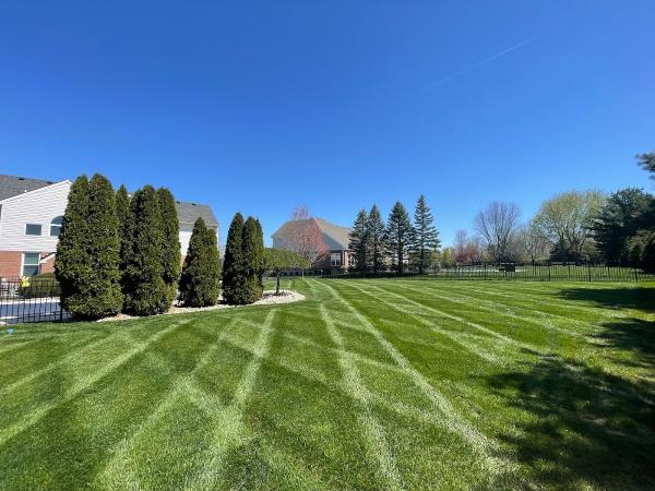 Must Lawn & Landscape