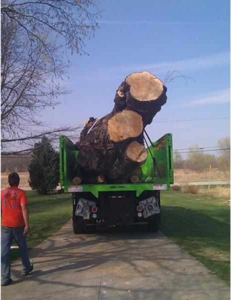 Russ's Tree Service