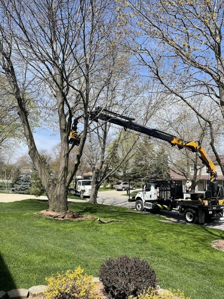 Russ's Tree Service