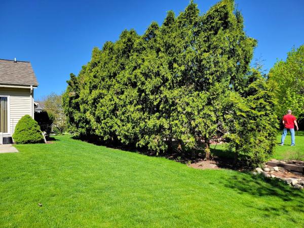 Russ's Tree Service