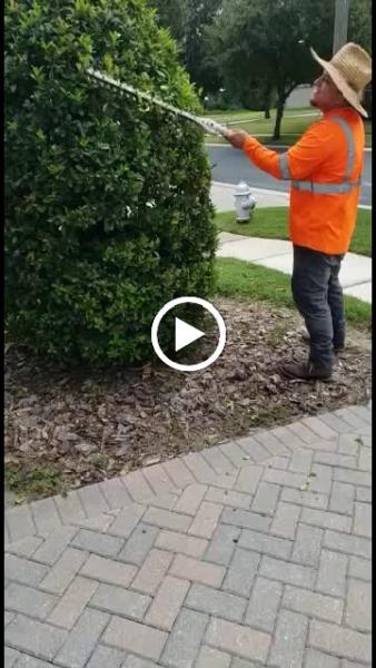 Arocho Landscaping