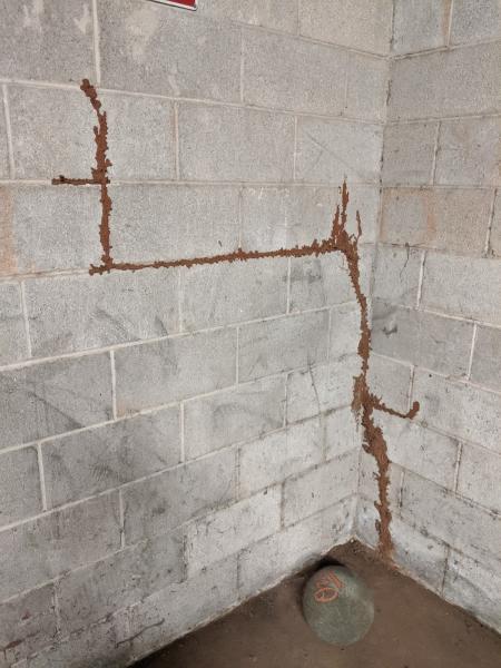 No Place Like Home Inspections