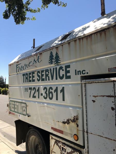 Forrest Tree Service