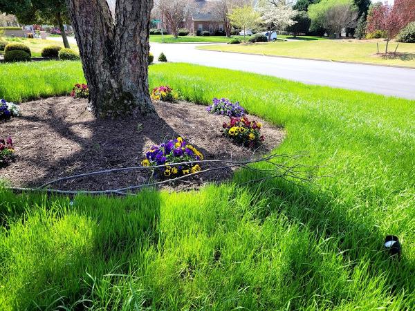 K&D Round's Landscape Services