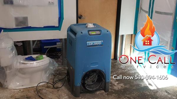 One Call Services